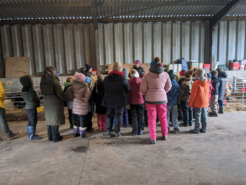 IMG-20250219-WA0014(1)