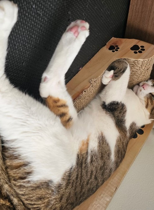 Kawara-shokunin-@docomo.ne.jp