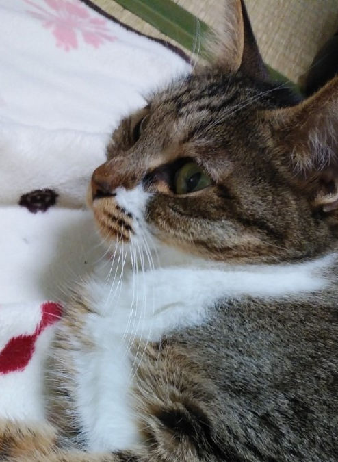 close-to-you_0844-0867@outlook.com