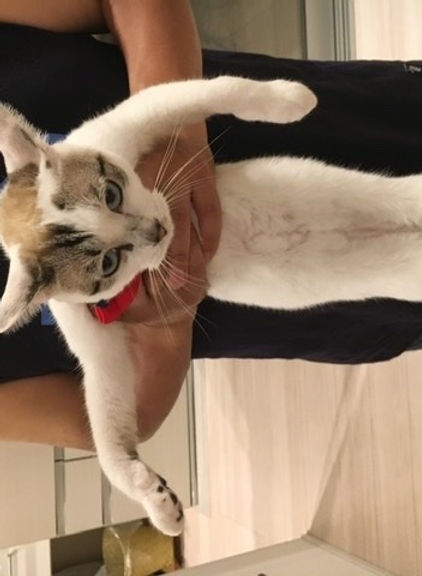 ojami1972@ezweb.ne.jp