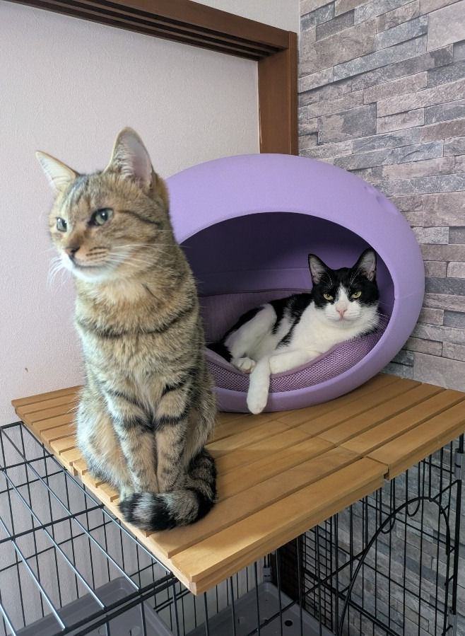 asroma.2000-01_13@softbank.ne.jp