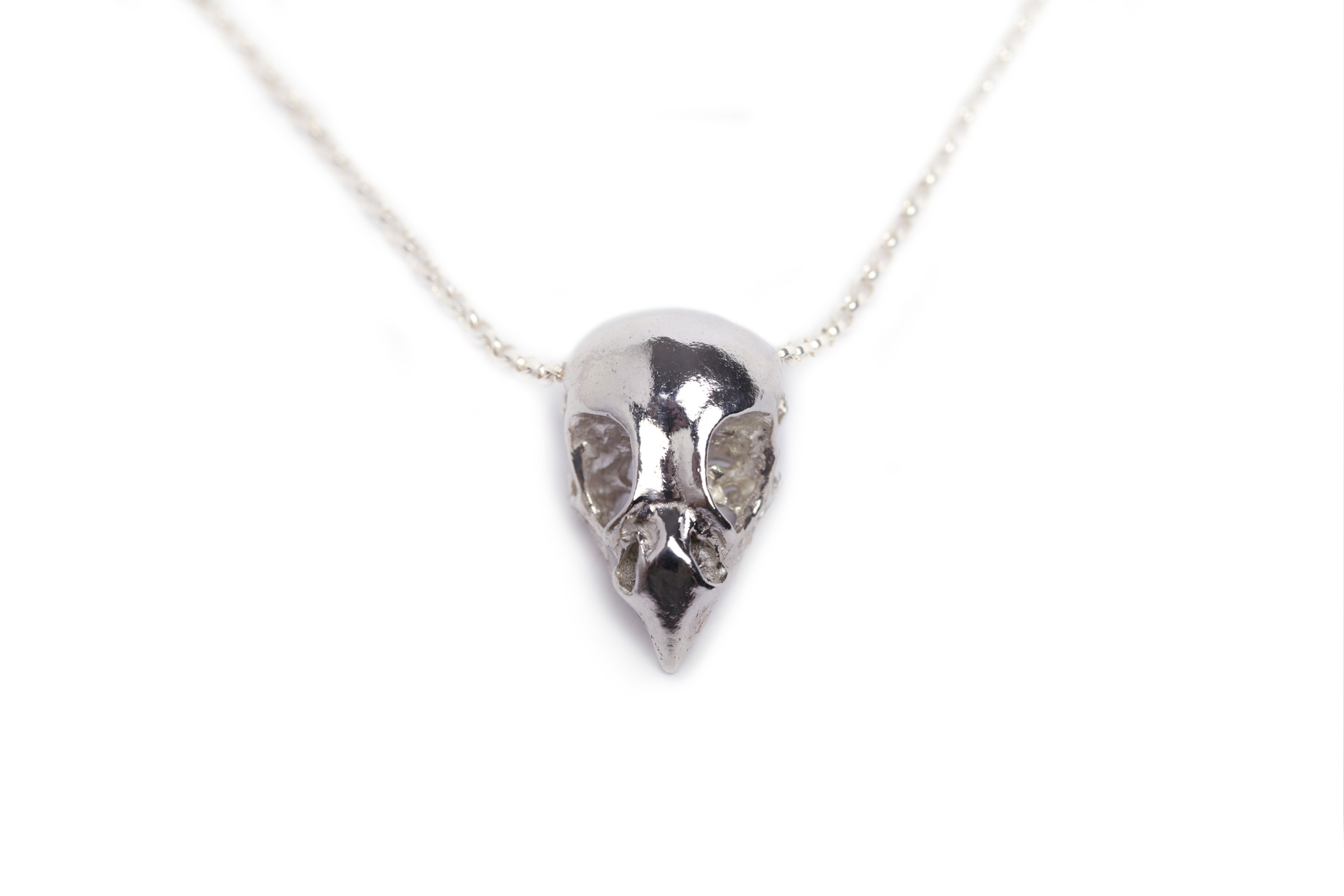 Bird of Prey necklace