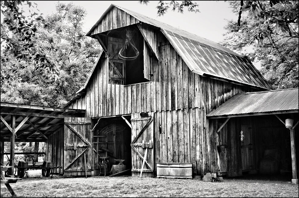 A Study In Black And White