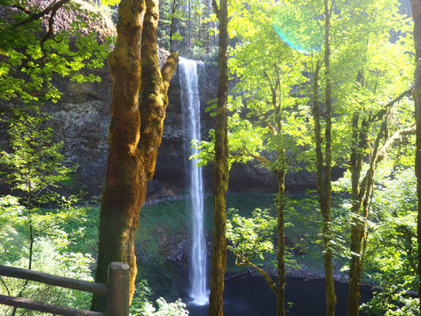 July 25 (Day 45) - Silver Falls State Park, Oregon
