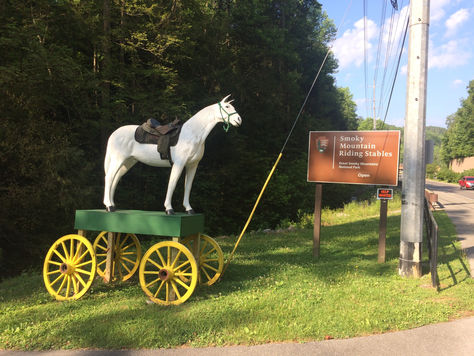 June 13 (Day 3) - Morning horse back riding in Smoky Mountain National Park