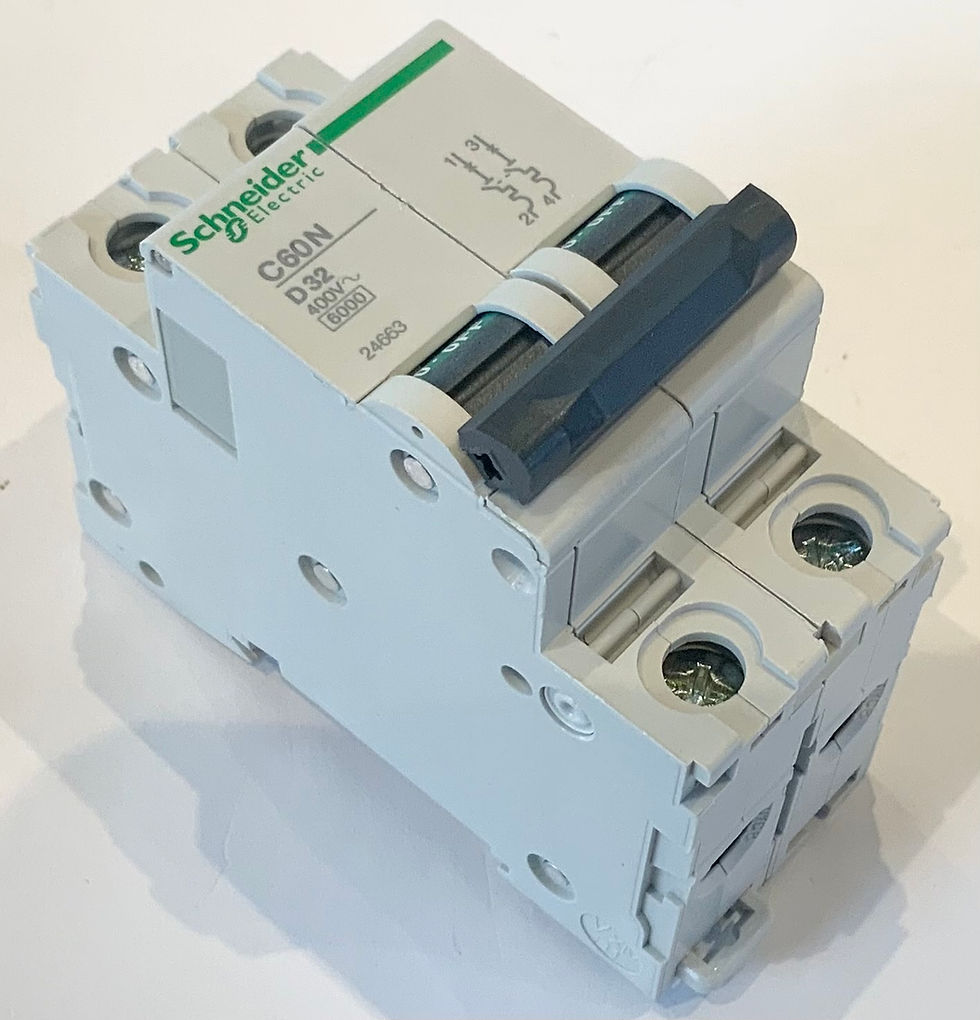 Schneider C60N D32 MCB 2P 32A Type D 24663