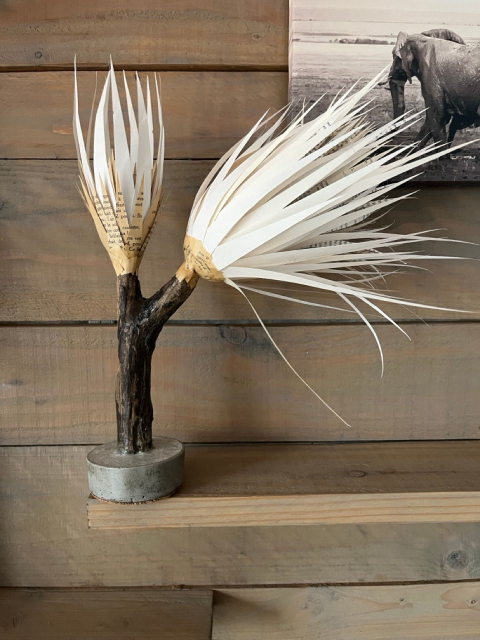 Alba incarne l’élégance discrète et la promesse d’un épanouissement futur avec ses deux boutons.
Ancrée sur un socle en béton, elle se dresse sur un morceau de bois aux courbes naturelles.
Cette création unique dévoile une fleur délicatement épanouie, tandis qu’un bouton encore fermé suggère la beauté en devenir. Chaque détail est pensé pour offrir une pièce poétique, où la délicatesse du papier rencontre la robustesse des matériaux bruts.