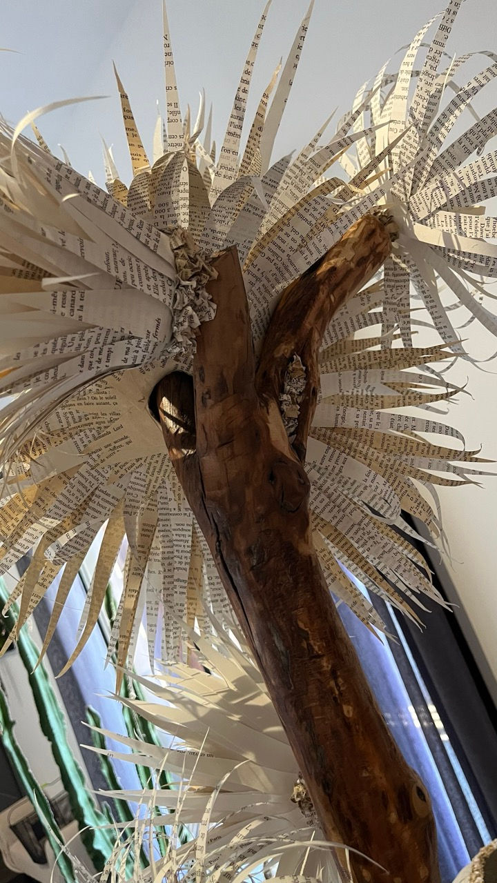 Partie haute du tronc, où l'on voit les fleurs par en dessous.