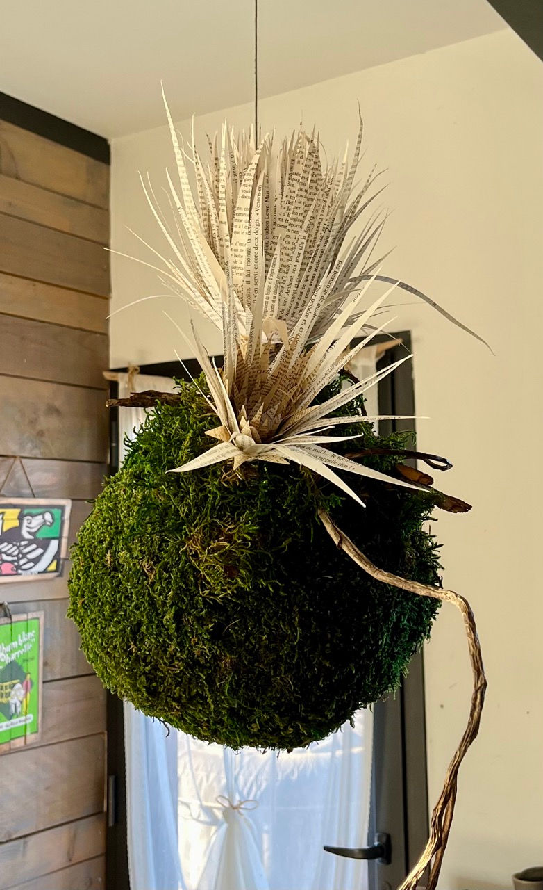 Le kokedama revisité porte ses 2 boutons de fleur avec grâce et  poésie. Il incarne la beauté du temps qui passe, où chaque fin devient une nouvelle création.

Parce qu’un objet abandonné peut toujours retrouver sa place, il suffit parfois d’un regard différent et de quelques morceaux de papier pour réécrire son histoire.

