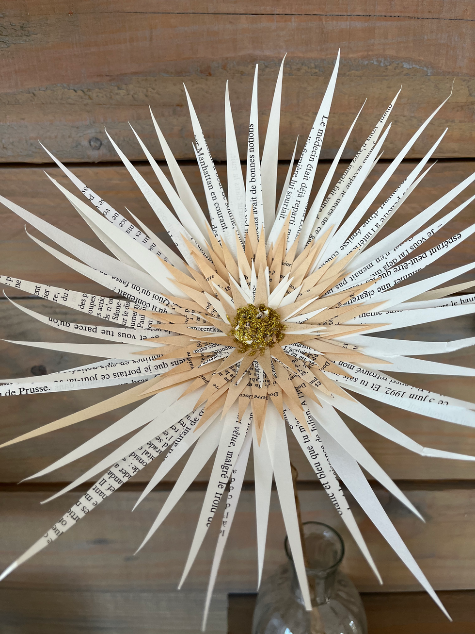 Collection les petites fleurs sauvages: Lu