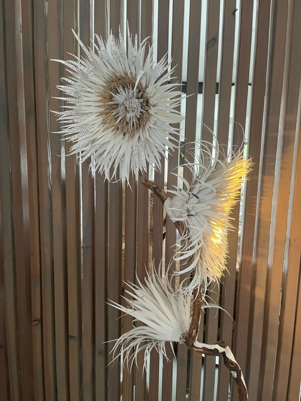 Liora-lampe-bois d'arbousier- Grande