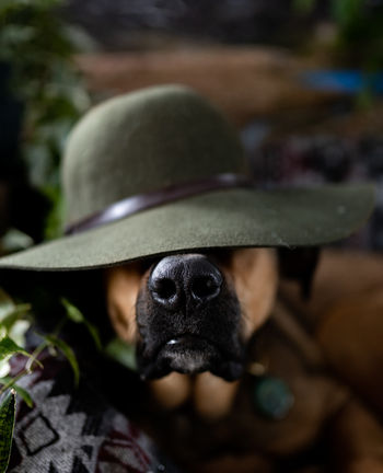 Veronica Sparks Photography - Colorado wedding and elopement photographer, Evergreen, Idaho Springs, Denver, Telluride, Ouray, Estes, Rocky Mountain National Park. Elope in the mountains, sunset mountain wedding, sunset mountain elopement, Rocky mountain elopement photographer, Colorado engagement photographer, Veronica Sparks, Veronica Theurer, Colorado hiking photographer, Colorado SUP photographer, Paddleboard Colorado, Denver photographer, Denver wedding photographer, Mountain wedding venue, Winter wedding, Colorado, Colorado wedding photography, Mountain wedding photography, Colorado fall wedding, Colorado wedding photographer, Best Colorado wedding photographer, Capitol Peak, 14er photographer, colorado 4ers, Veronica Theurer, Veronica Sparks, Colorado adventure photographer, destination wedding, Telluride photographer, Denver photographer, Breckenridge photographer, Estes park photographer, Colorado family photographer, Denver family photographer, Denver headshot photographer, Denver small business photographer, Colorado elopement photographer, elope colorado, rocky mountain photographer, rocky mountain wedding, Aspen wedding photographer, Rocky Mountain National Park, Trail Ridge Road, Colorado Dog photographer, Denver dog photographer, Colorado adventure dog photographer