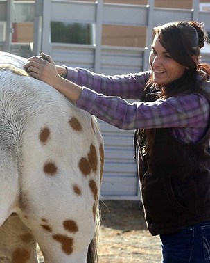 Equine massage