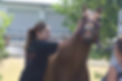 Messenger_creation_6E4CD870-B76C-4AC9-9367-28CBE61F3E4D.jpeg