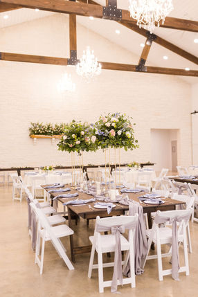 AshlynnMariPhotography