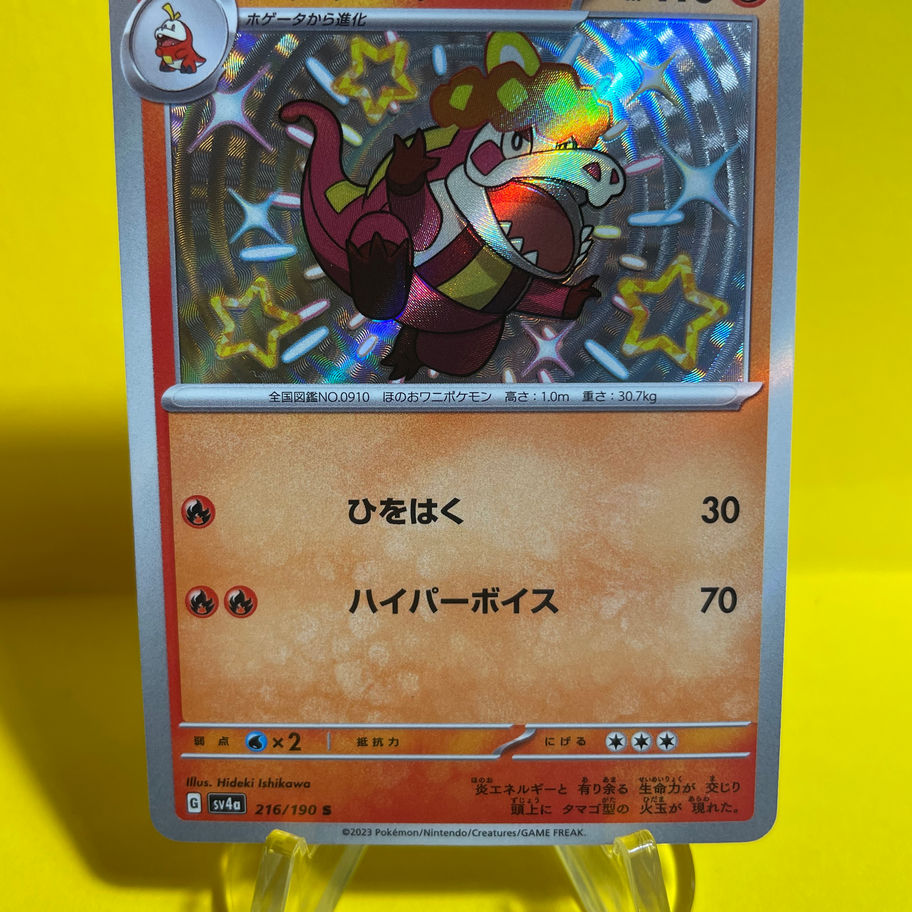 crocalor card front