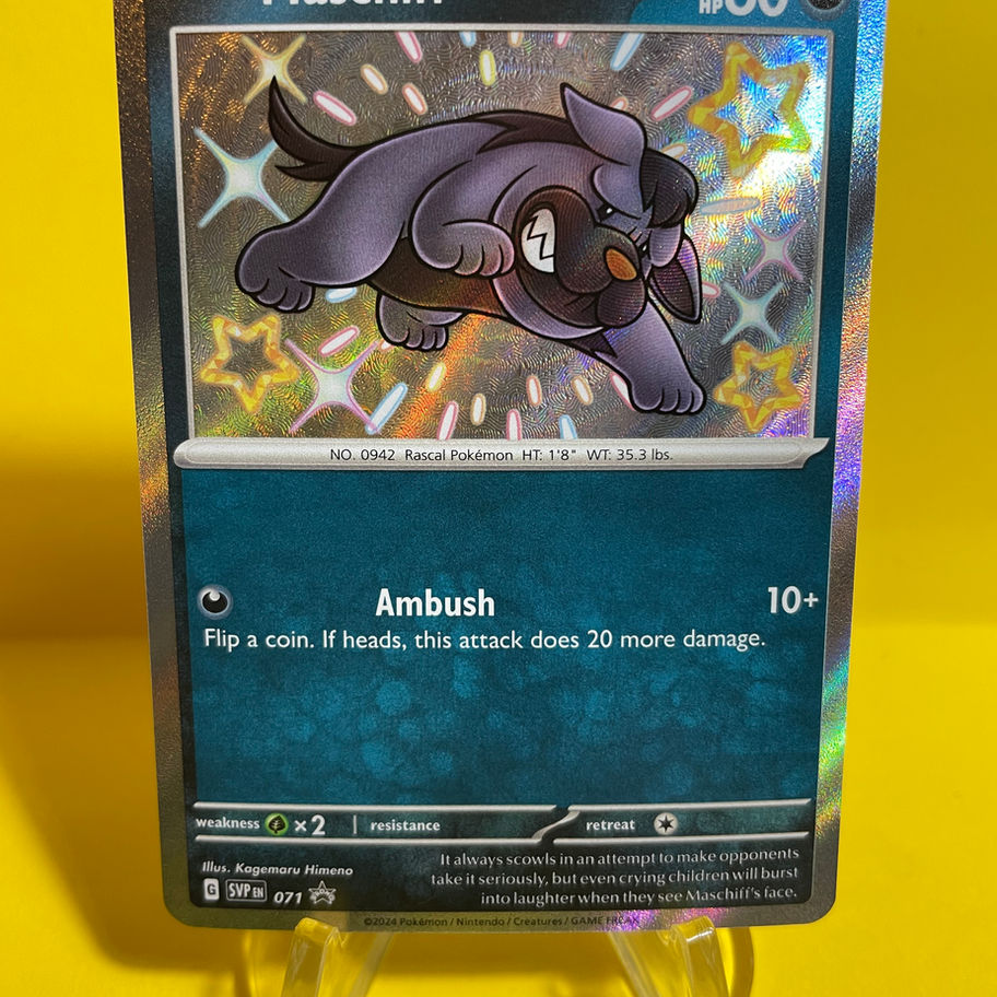 maschiff card front