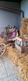 IMG-20221118-WA0028.jpeg