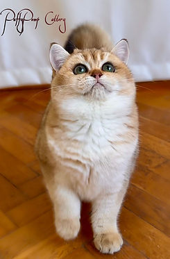 WhatsApp Image 2023-12-29 at 01.06.04.jpeg