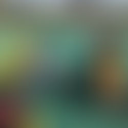 長崎でアマルフィの家庭の味