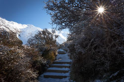 Frozen, New Zealand