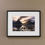 Thumbnail: Milford Sound