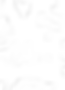 barbed wire .png