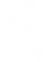barbed wire .png