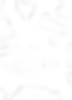 barbed wire .png