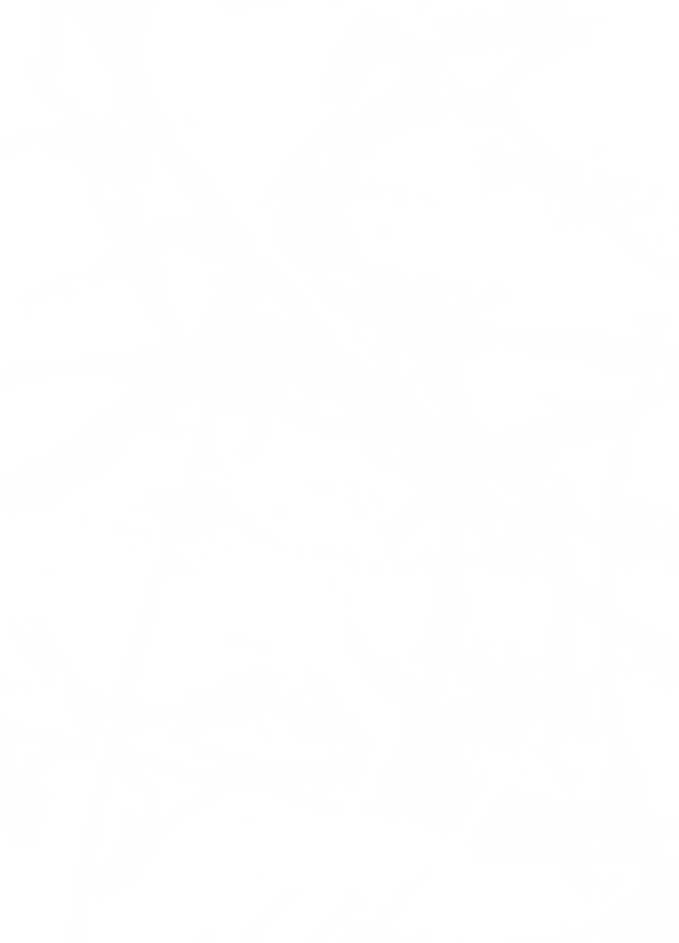 barbed wire .png