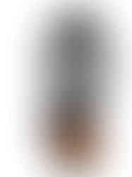 Surrealism monarch butterfly tattoo with color and black and grey 