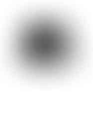 skull butterfly black and grey realism flash