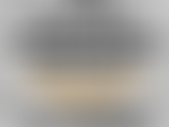 APOSENTADORIA ESPECIAL PARA MOTORISTA E COBRADORES DE ÔNIBUS