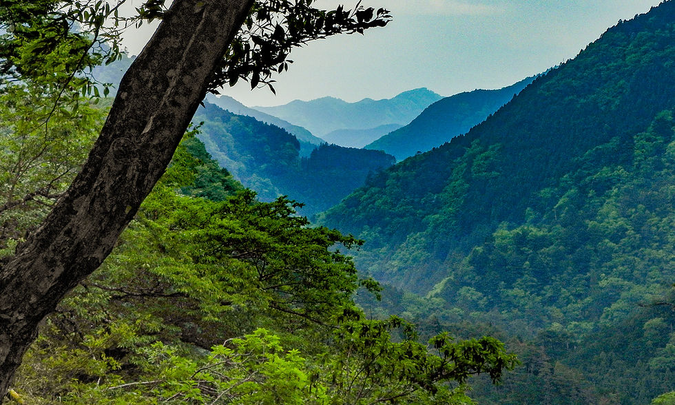 Bos en bergen bij het Okutama stuwmeer in Japan). Het uitzicht en de ruimte geven een goed gevoel, waardoor je hoofd en je lichaam tot rust komen. Shinrin-yoku is hier een levensstijl.