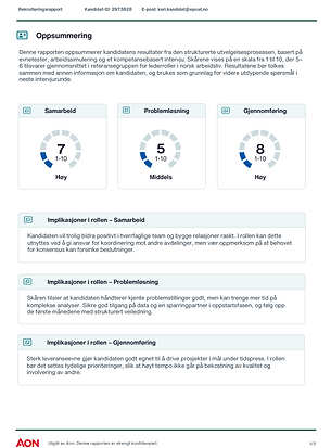 Rekrutteringsrapport 2.png