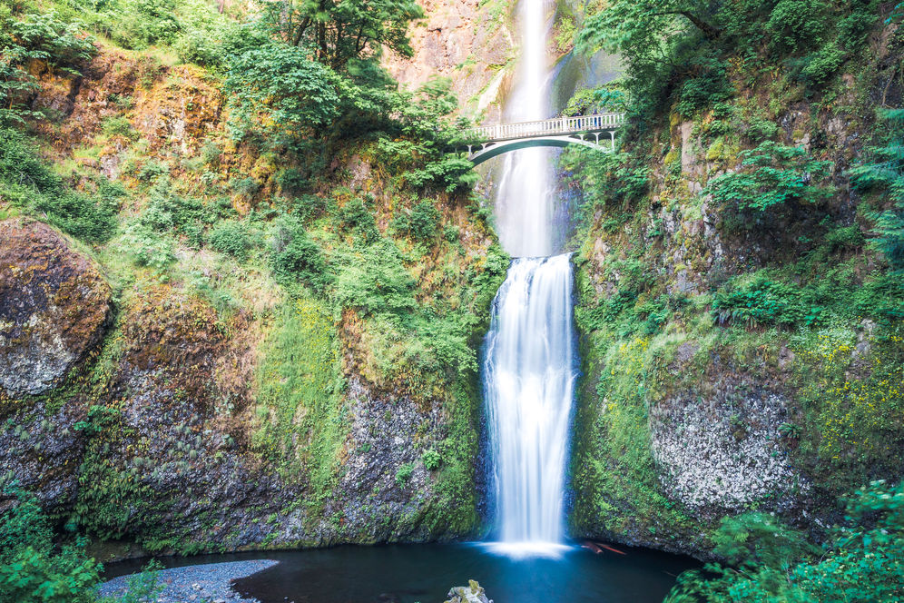 Waterfall plunging into a forest gorge in Oregon