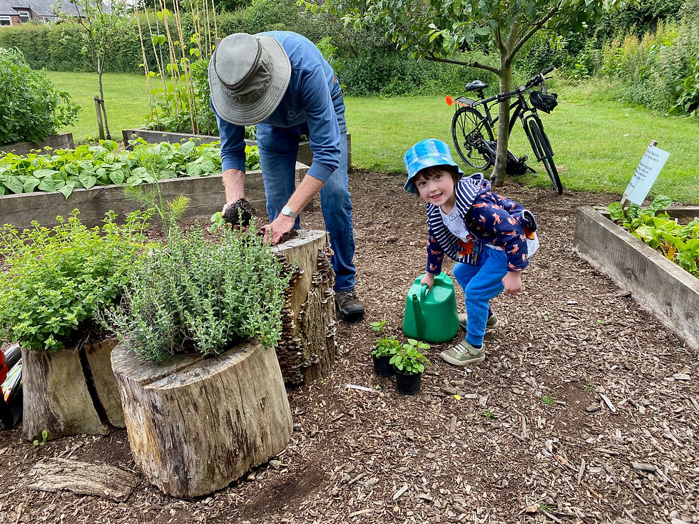 Planting at the Temp