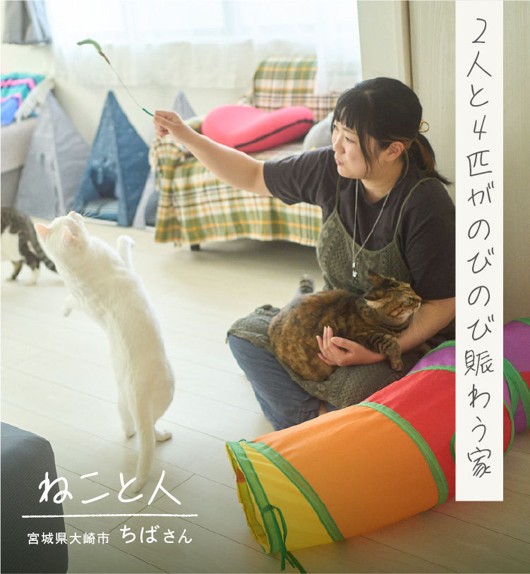 igokochi-short-1215