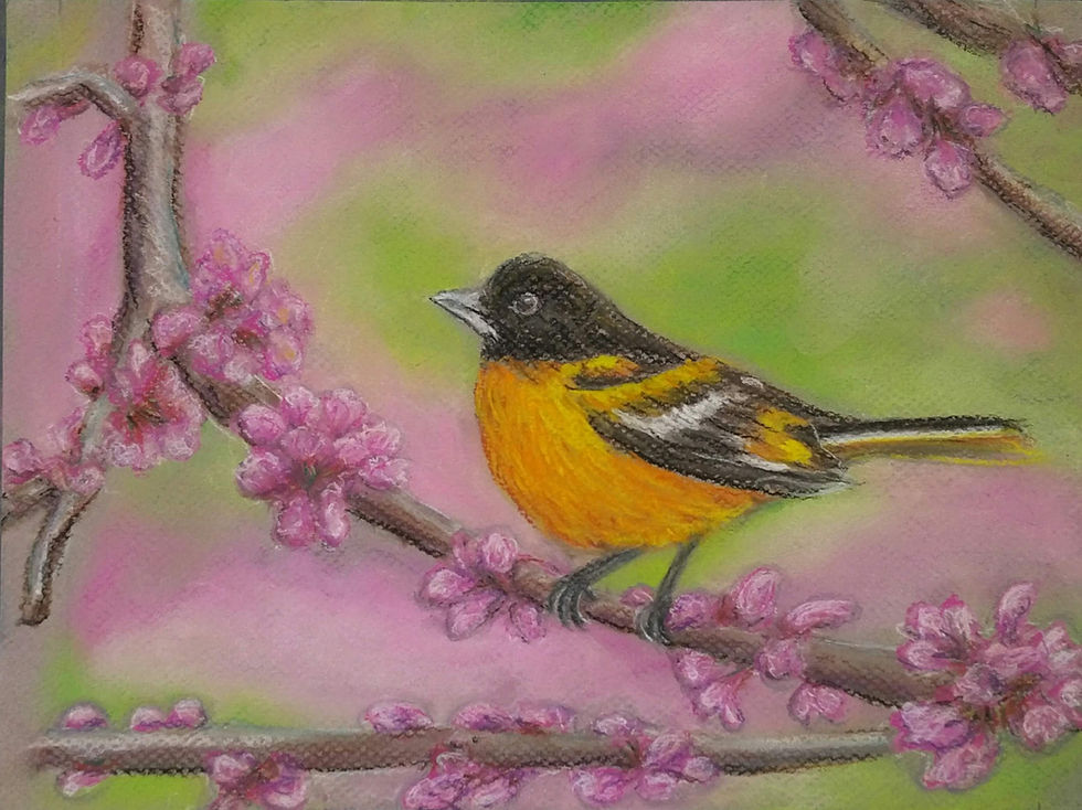 Bird