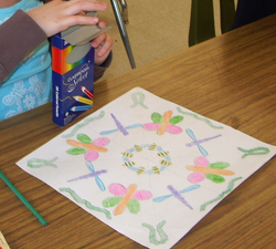 Radial Symmetry: Bugs!