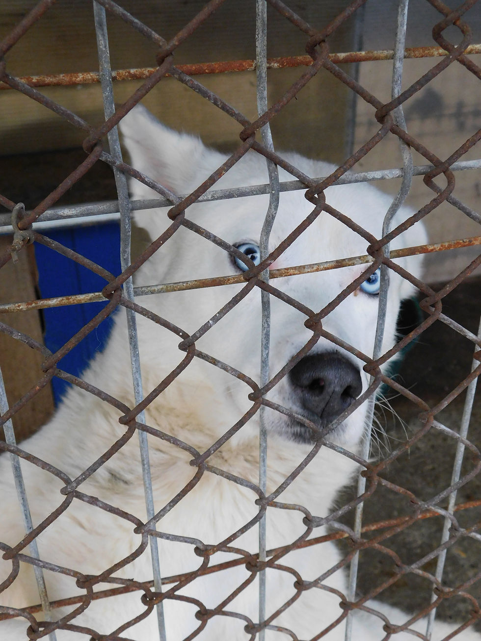 DSCN8382.JPG