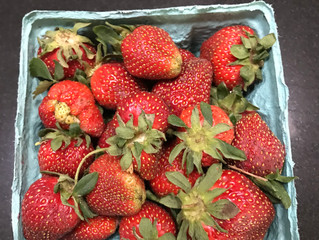 Will You Berry Me?