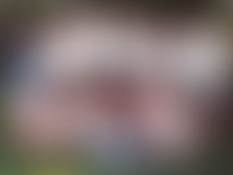 Vereinschronik: 2000