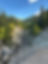 IMG_9969.jpeg