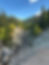 IMG_9969.jpeg