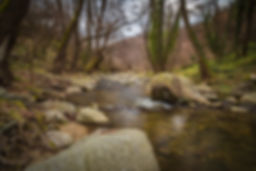 Fly fishing stream