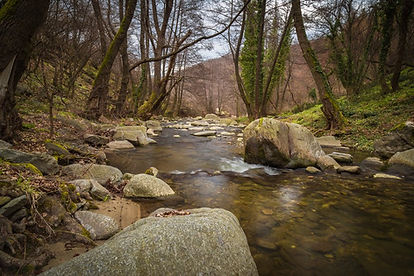Fly fishing stream
