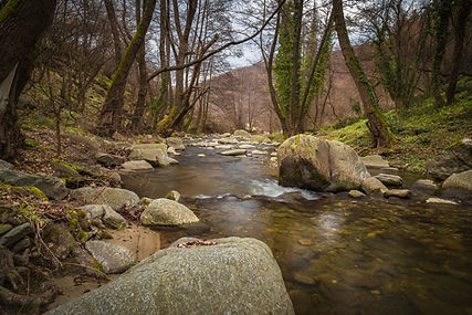 Fly fishing stream