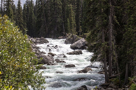 Fly fishing stream
