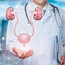 urologia.webp
